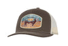 STS Trucker Hat -Bull