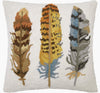Three Feathers Throw Pillow
