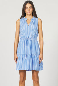 Stamina Stripe Dress